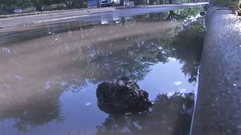 chanel 13 water tests hosuton|Water leaks remain among City of Houston's top 311 complaints .